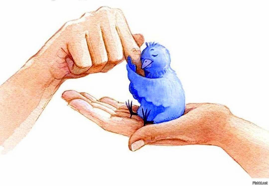 Плотоядные синицы