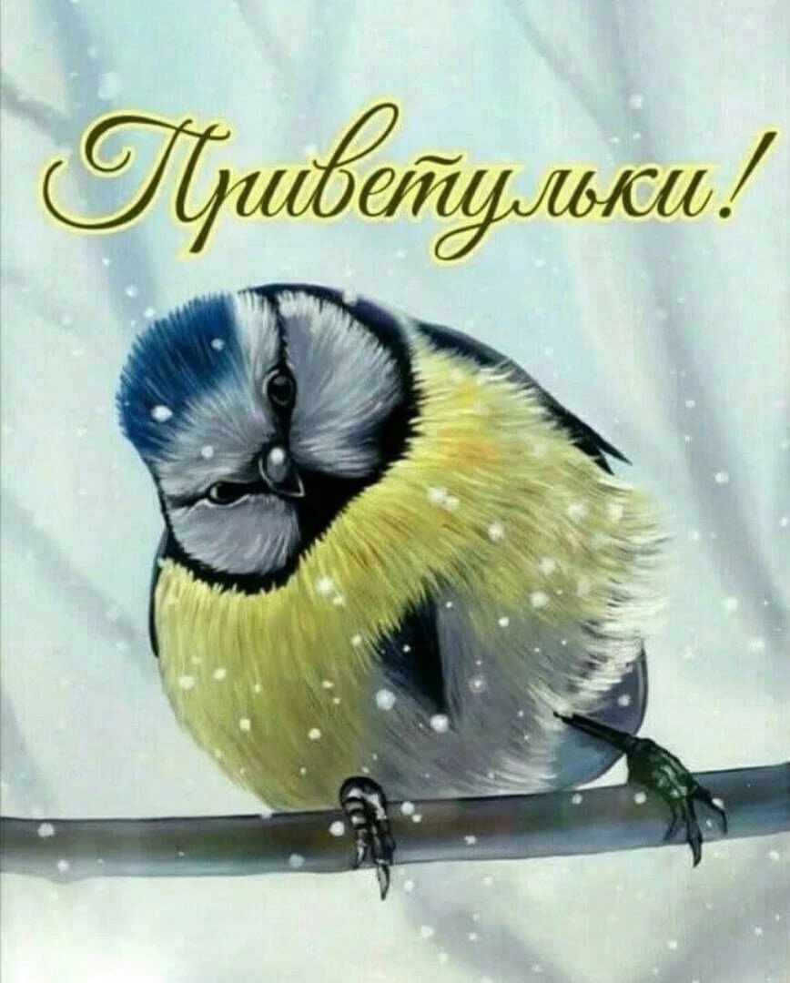 Кормление птиц