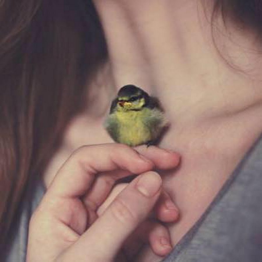 Девочка с птицей