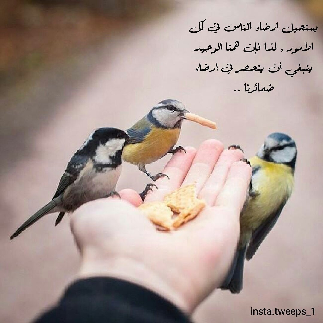 Никогда не поздно все начать