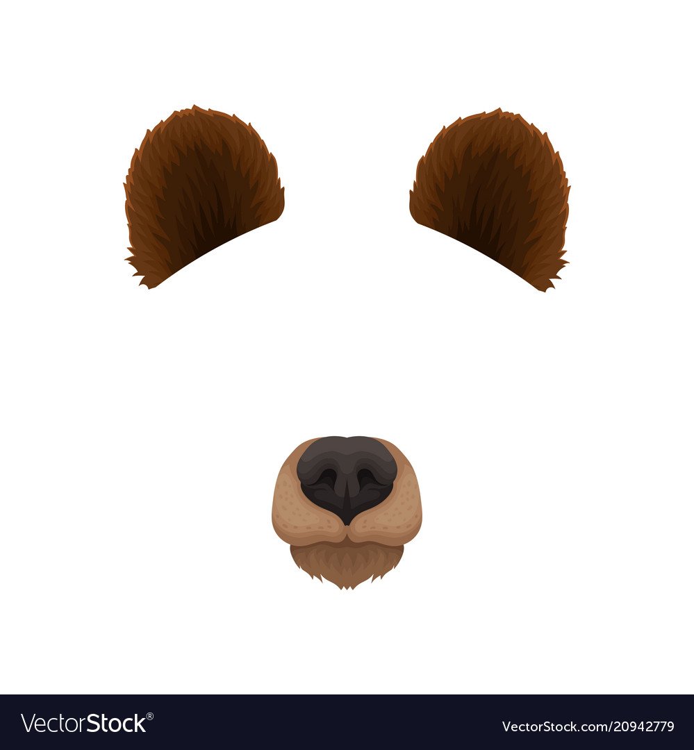 Уши медведя