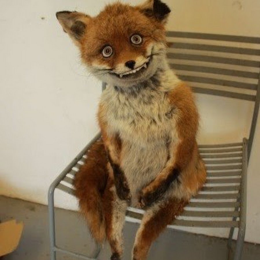 Укуренный Лис