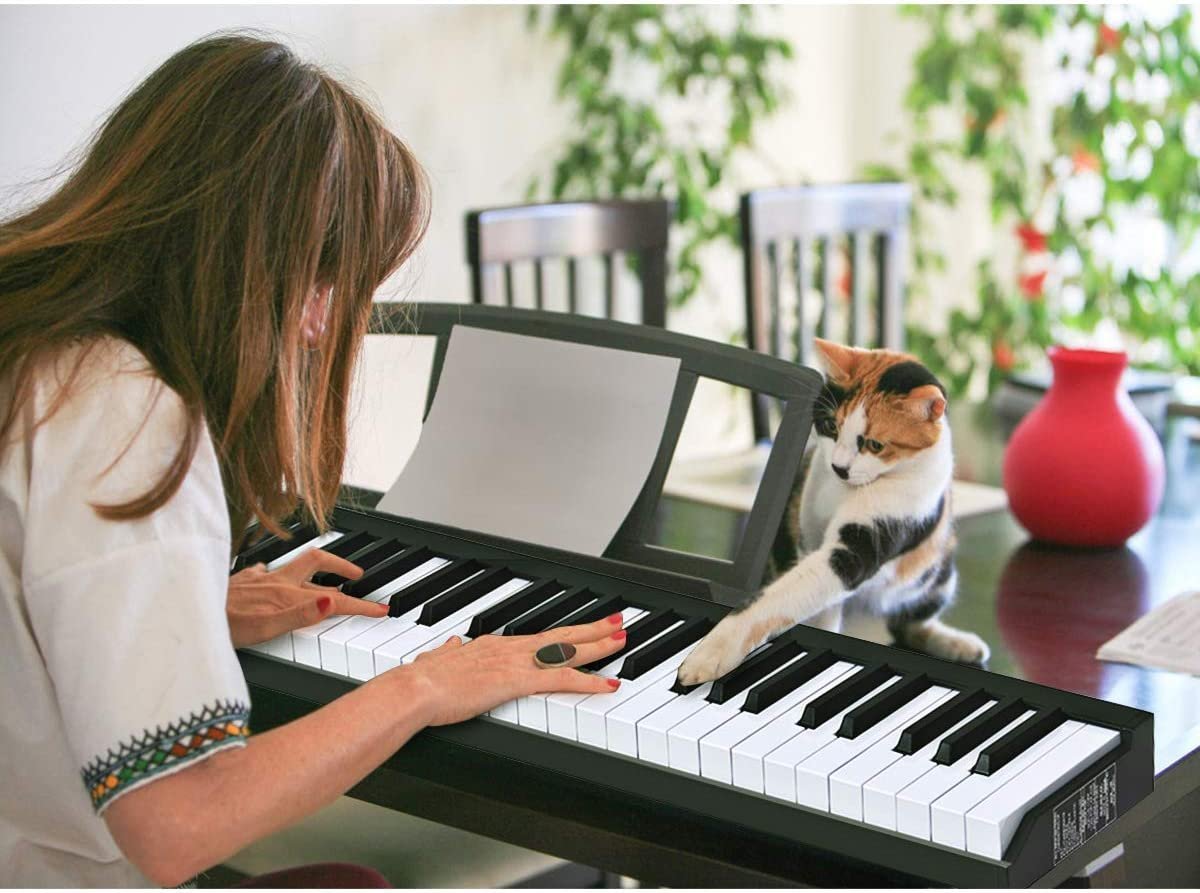 Человек и кошка Midi