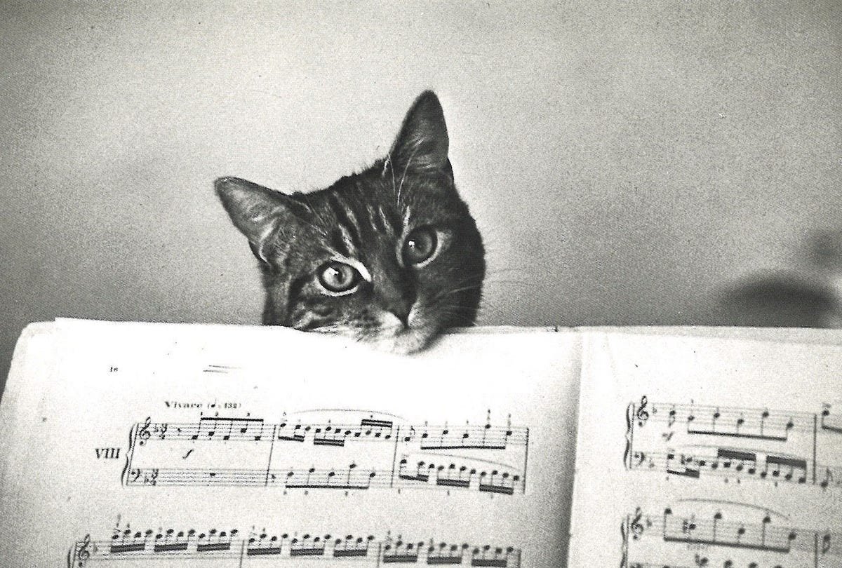 Клаус Хейворт пианист