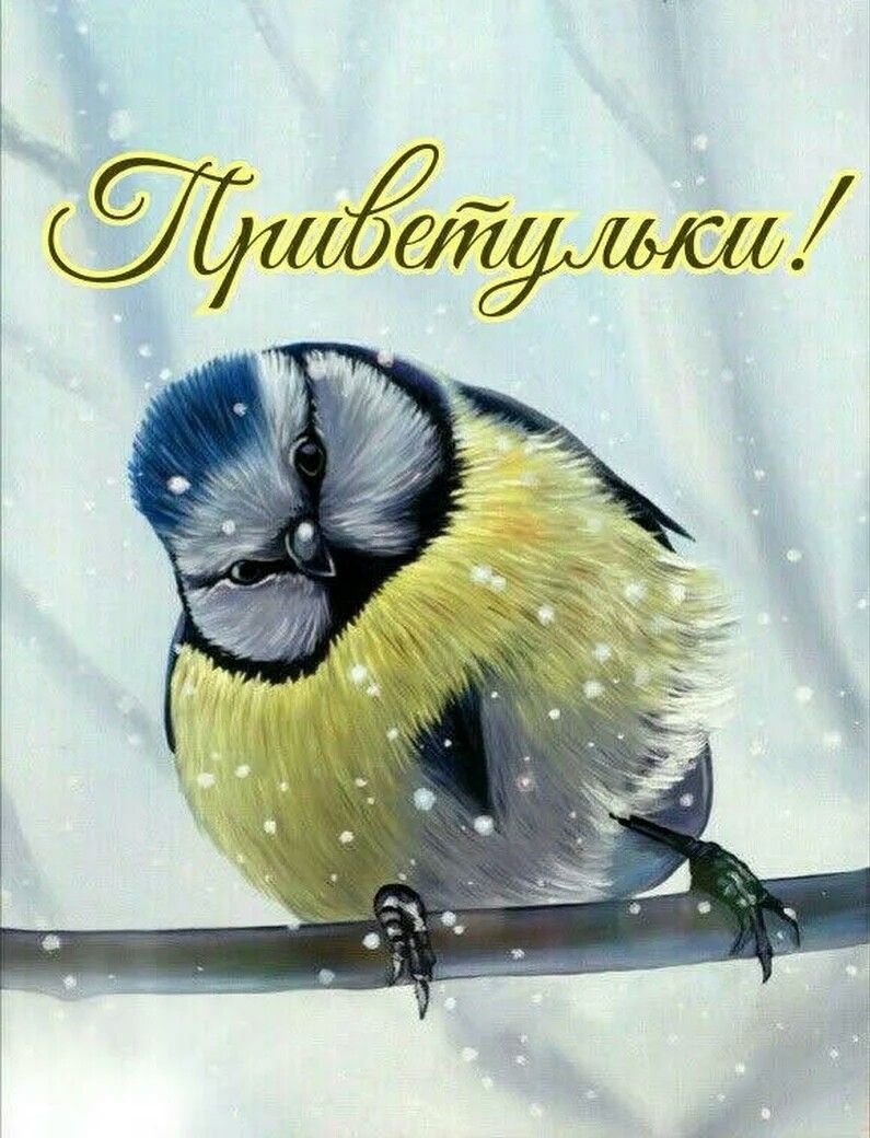 Название зимующих птиц на Урале