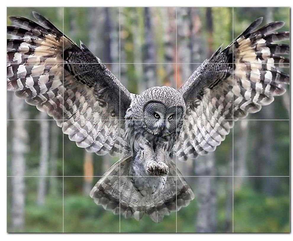 Бородатая неясыть в полёте