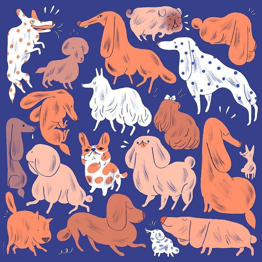 Животные из пинтереста