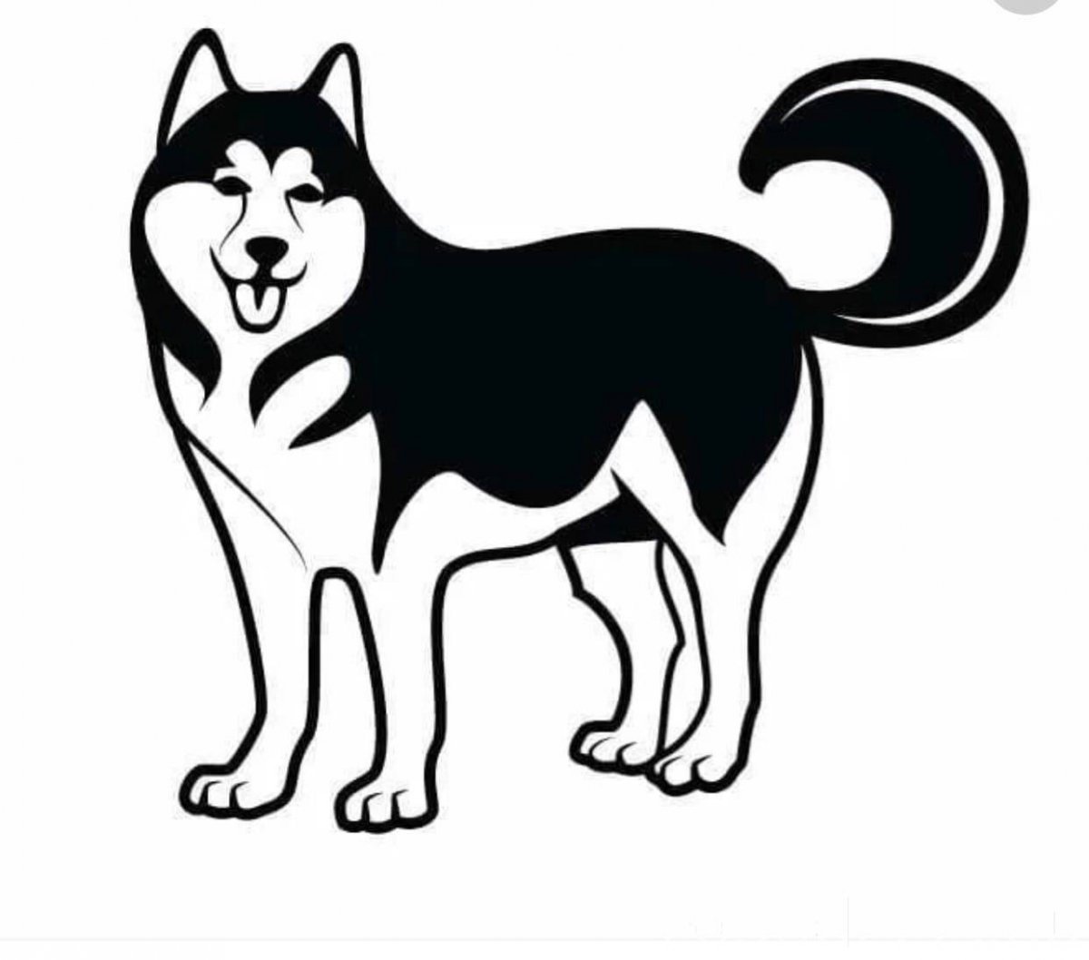 Черная Норвежская лайка элкхаунд