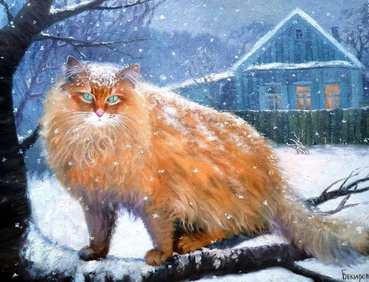 Красивый рыжий кот зимой