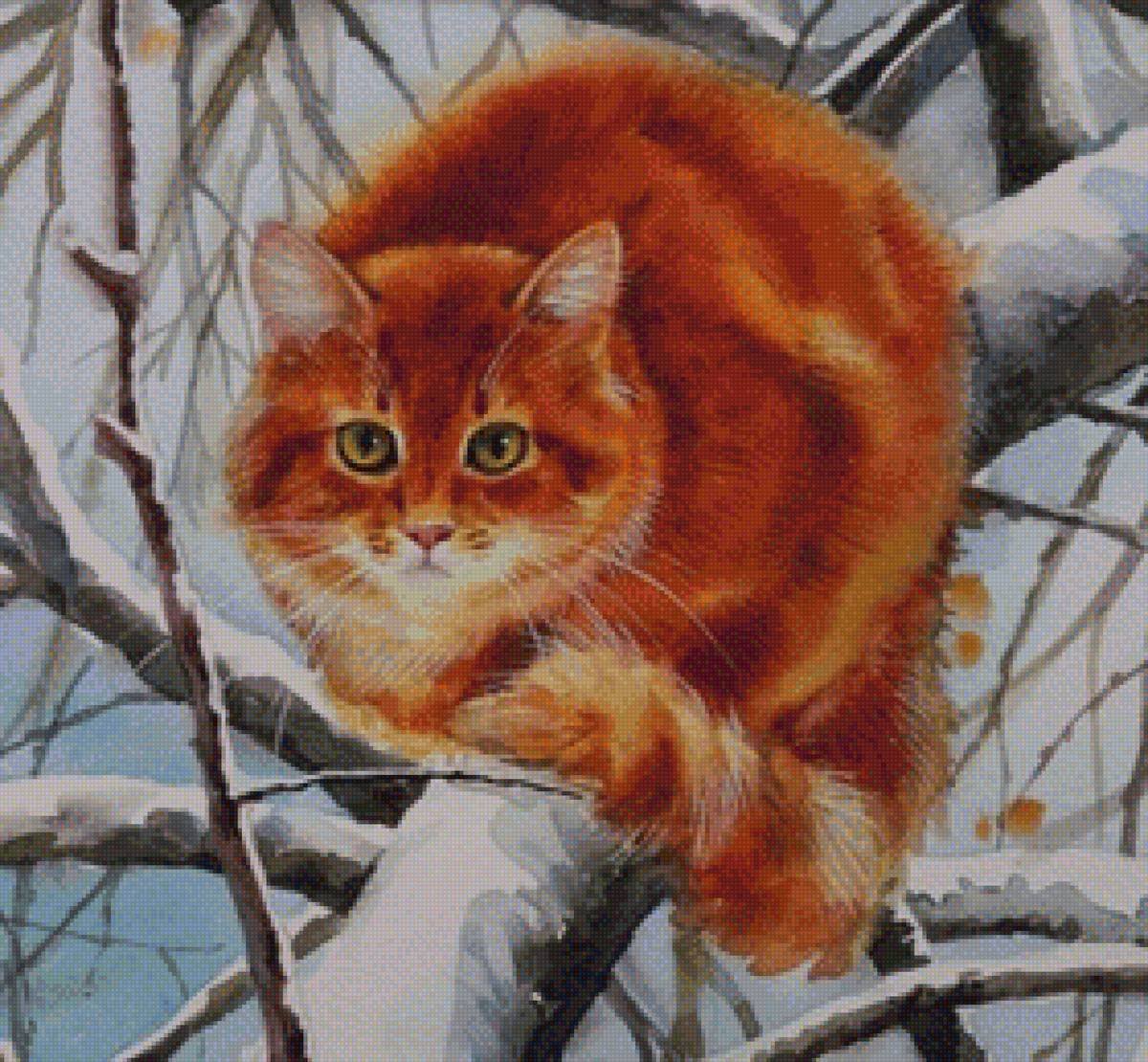 Рыжий пушистый кот зимой