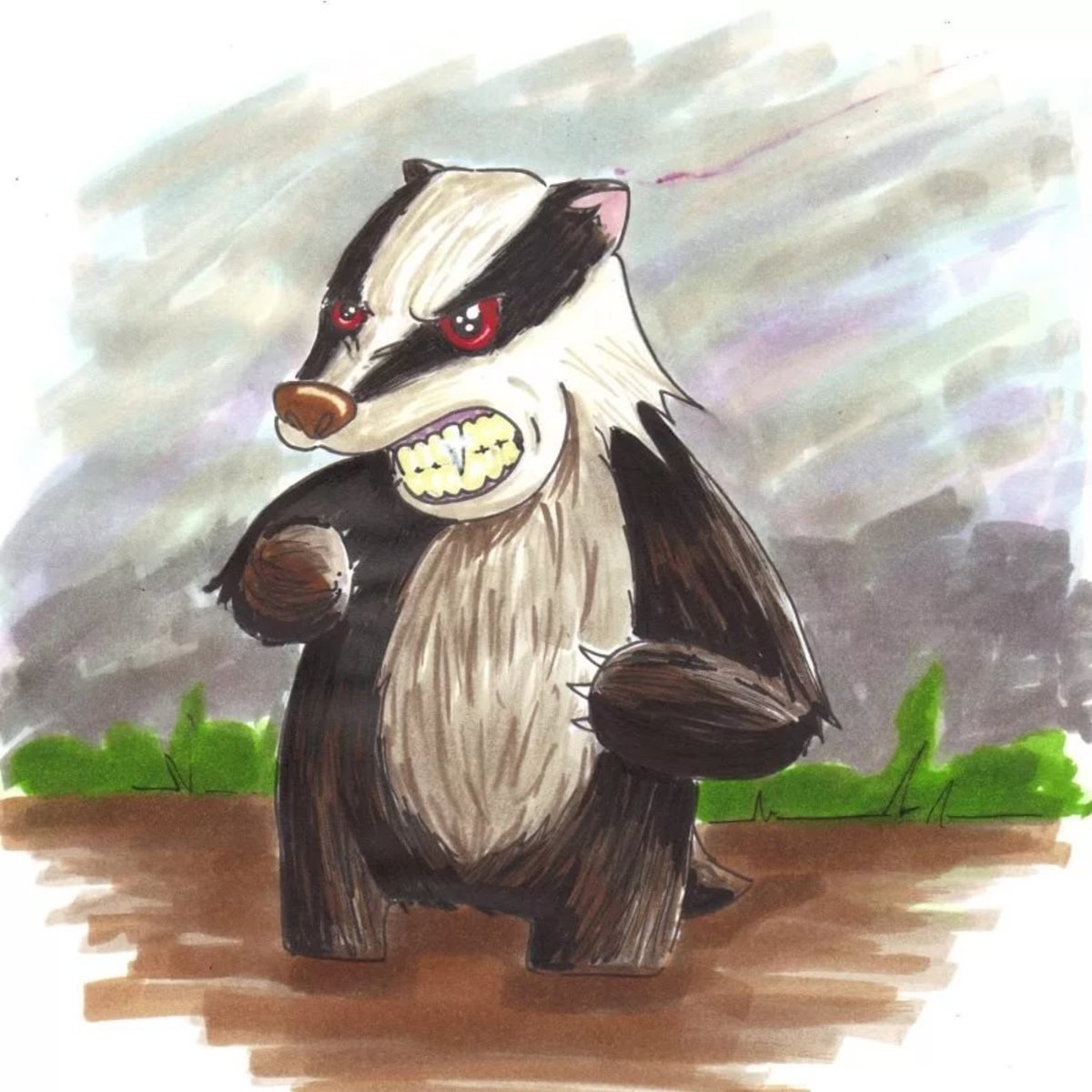 Европейский барсук злой