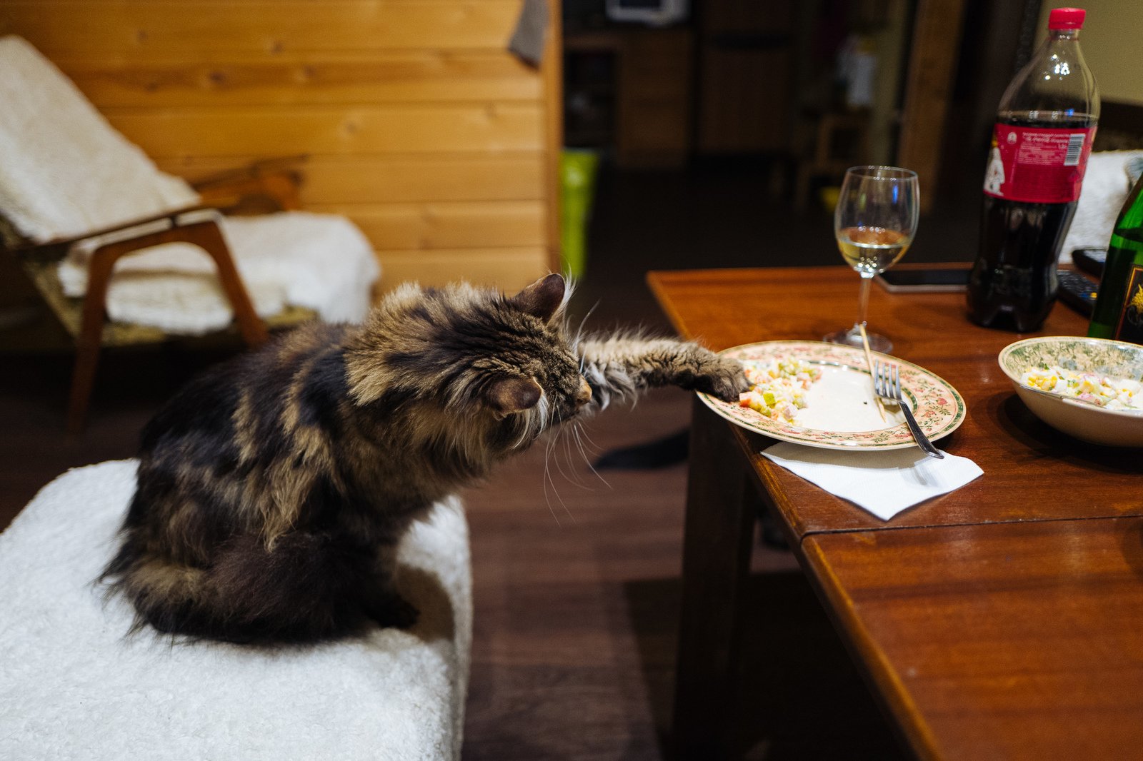 Украсть со стола. Кот ворует еду. Кот ворует еду со стола. Кот ворует со стола. Кот тырит еду со стола.