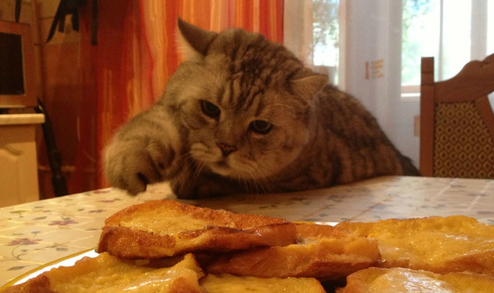 Украсть со стола. Кот ворует. Кот ворует еду. Кот ворует еду со стола. Кот ворует пирожное.