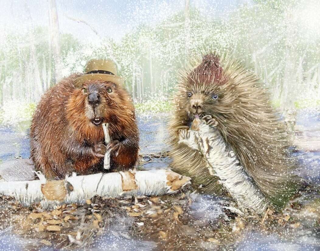 Картина бобры