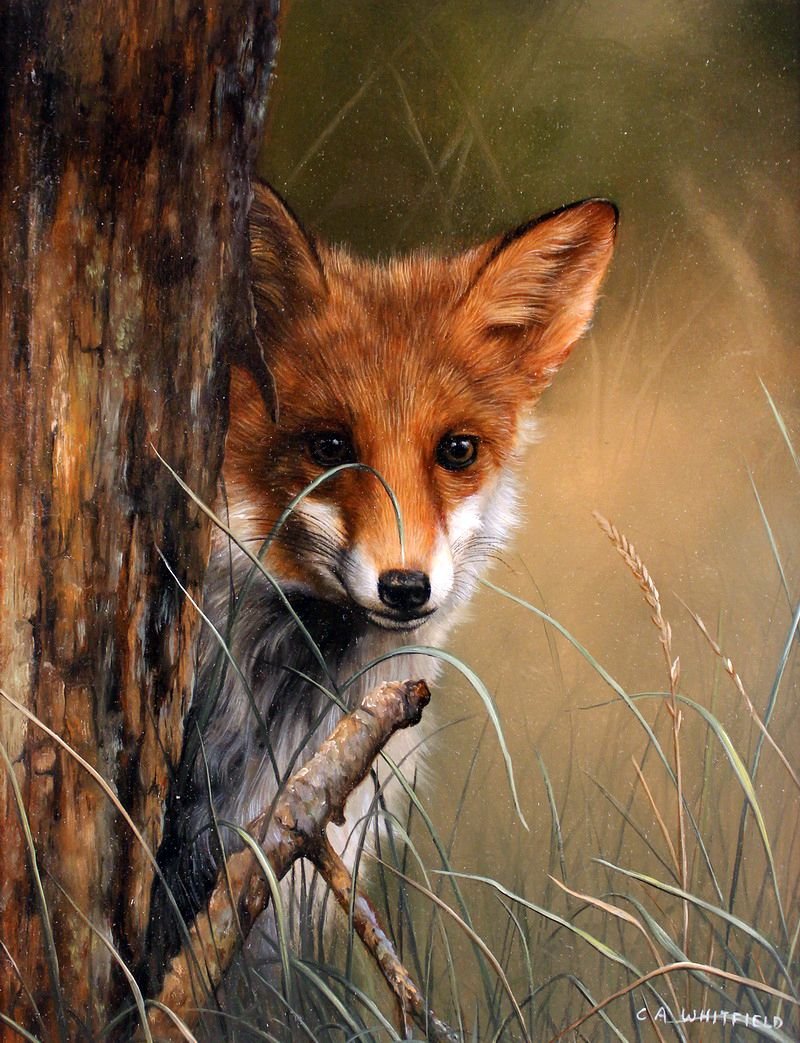 Художник Carl Whitfield.