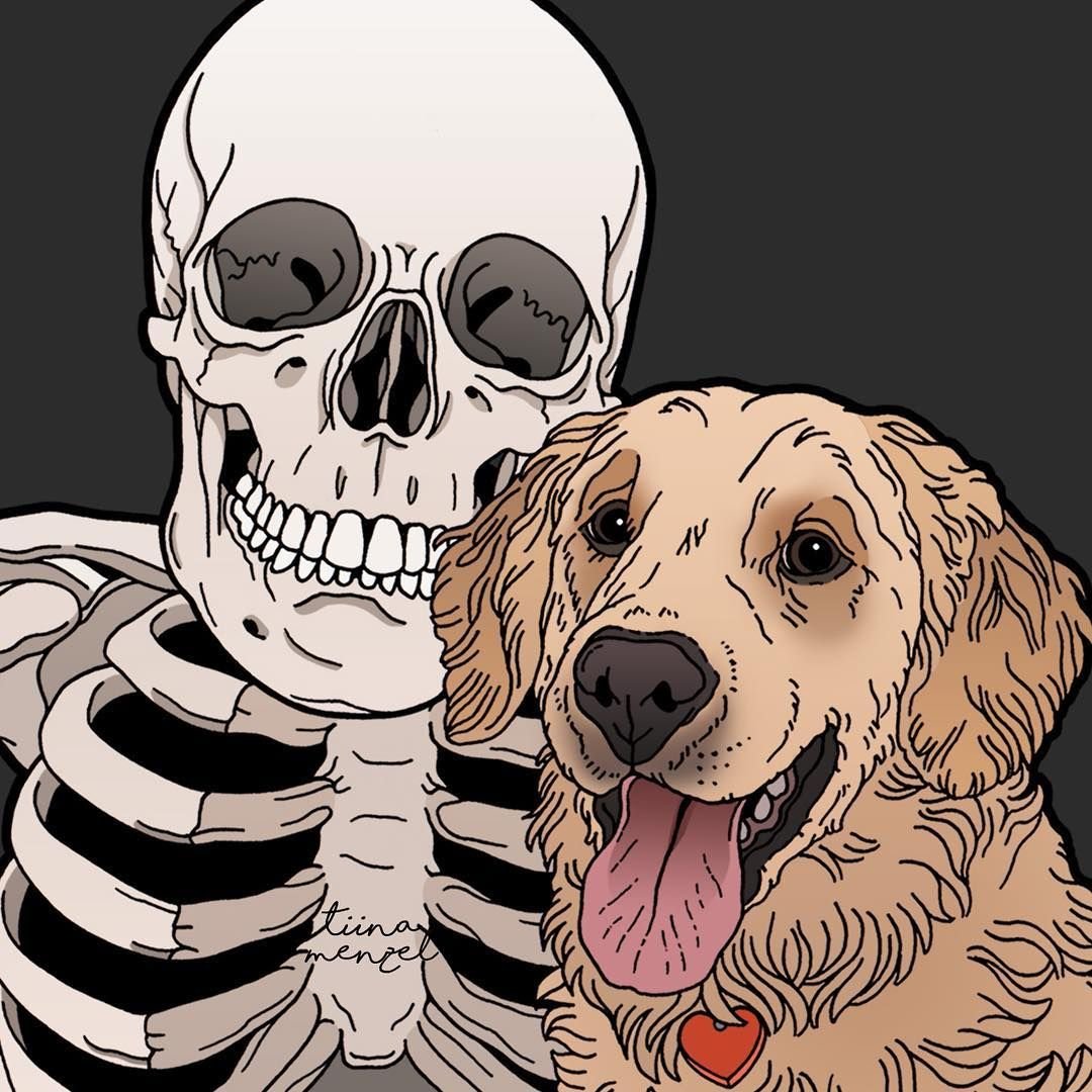 Скелет ВЕО собаки анатомия