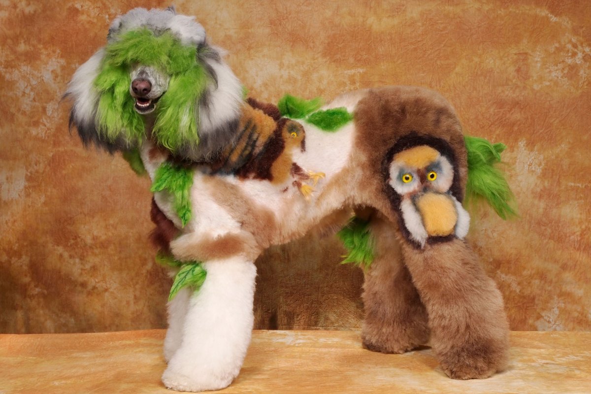 Креативный груминг собак