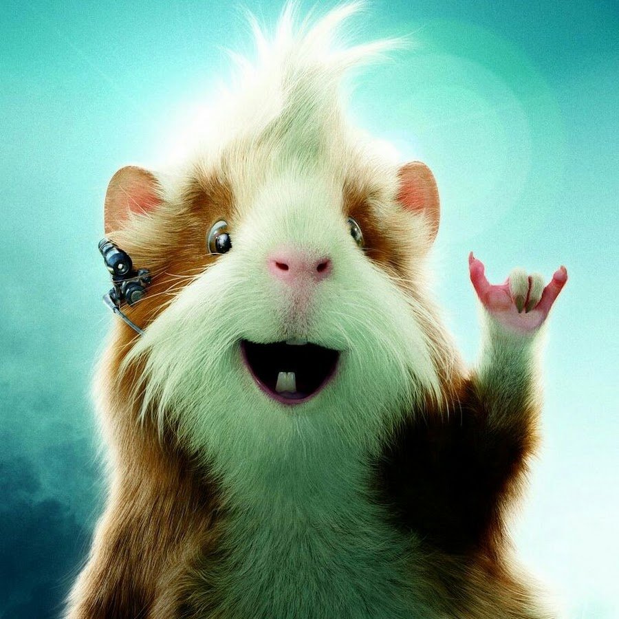 Хомячки в одежде