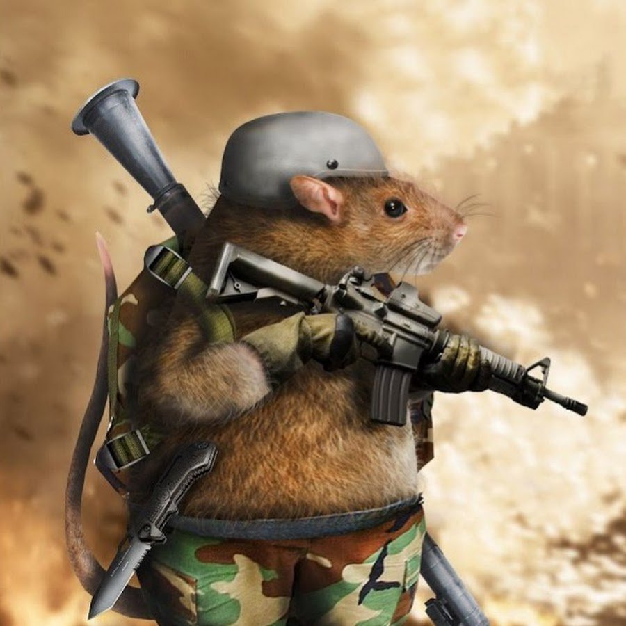 Орущий хомяк