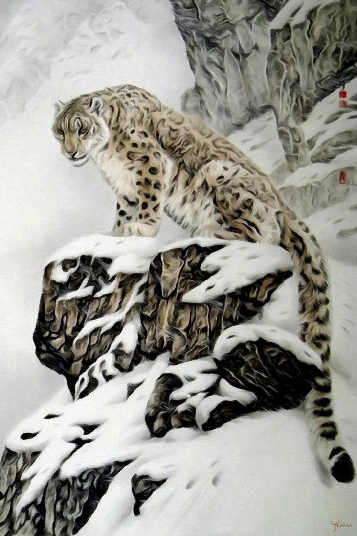 Снежный Барс детеныш