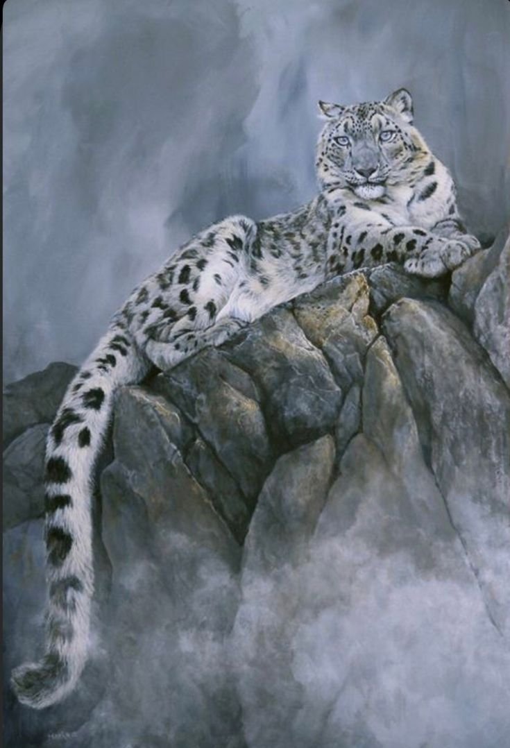 Каджит снежный Барс