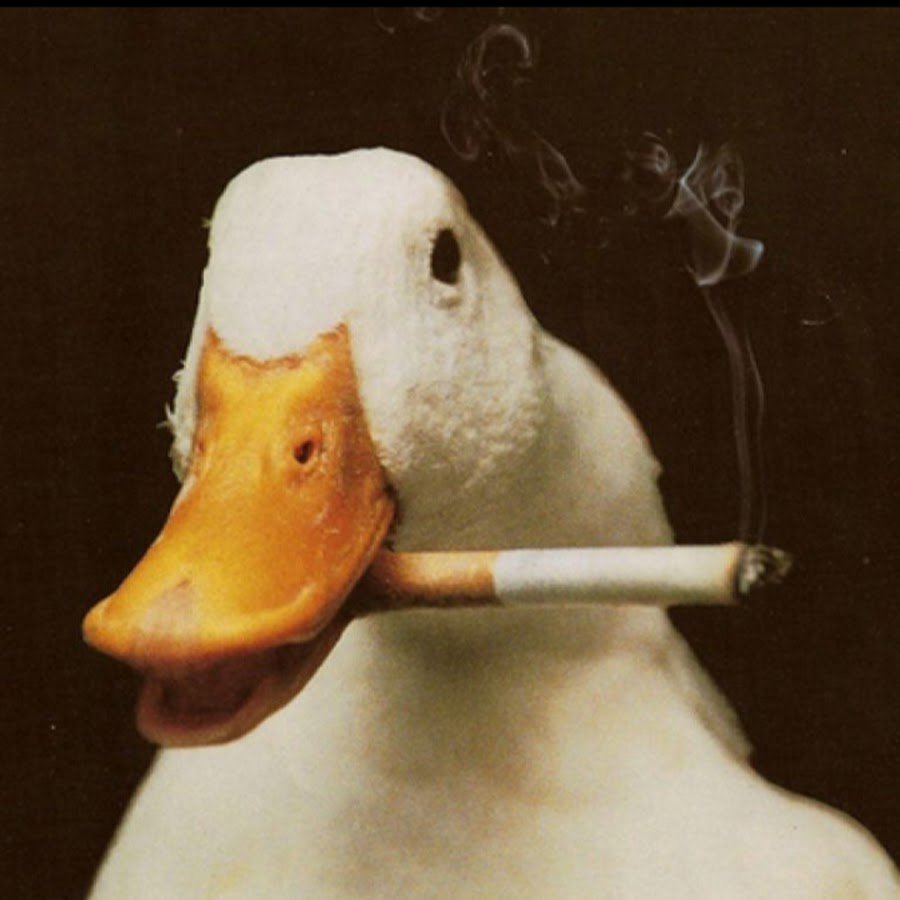 Гусь с сигаретой