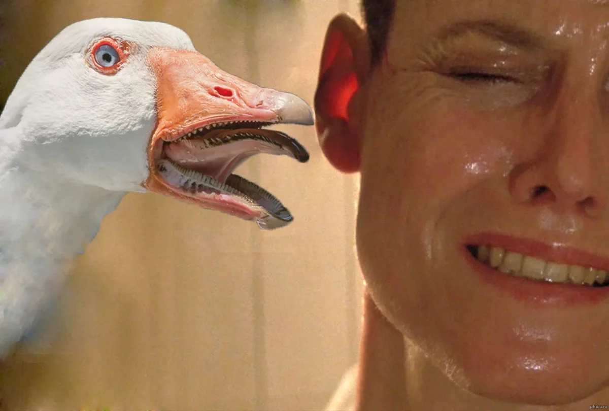 Прикольный Гусь