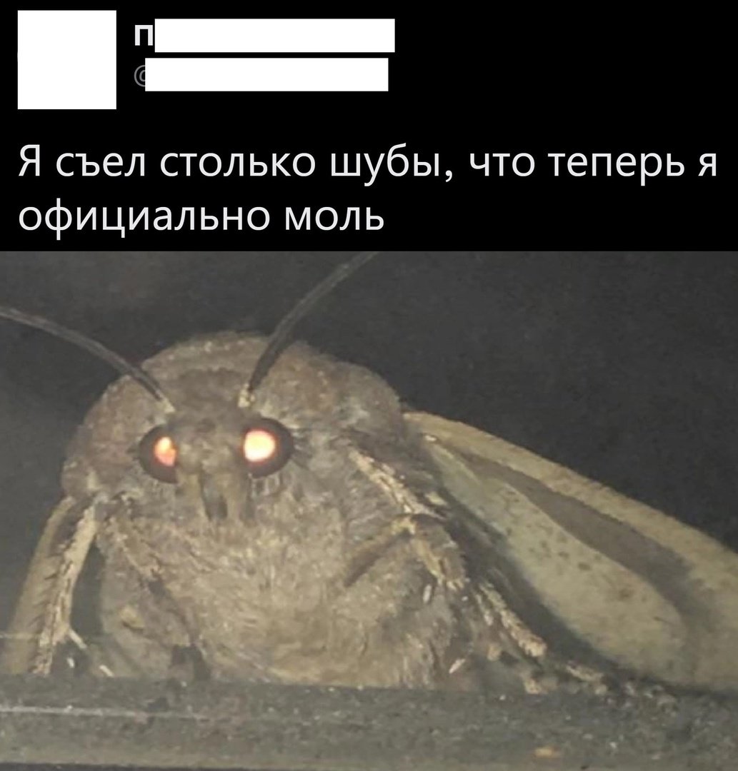 Страшный мотылек