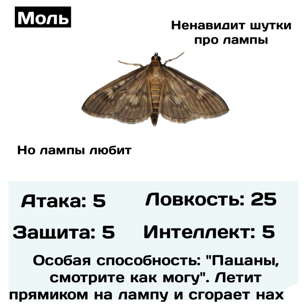 Шутки про моль