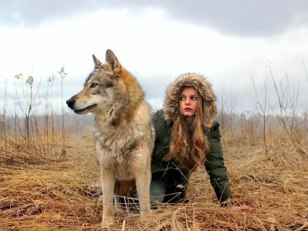 Волкособ с человеком