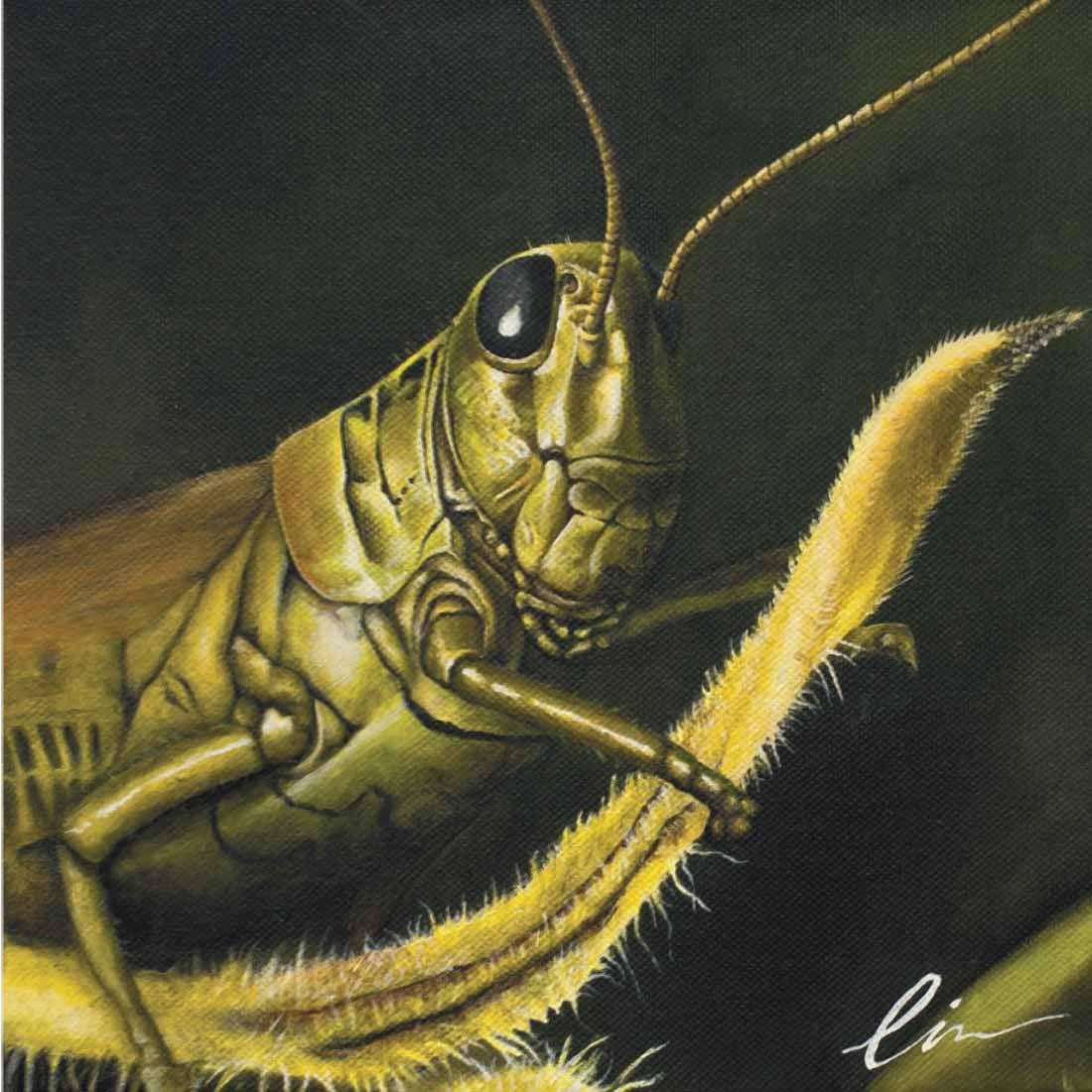 Насекомые в искусстве