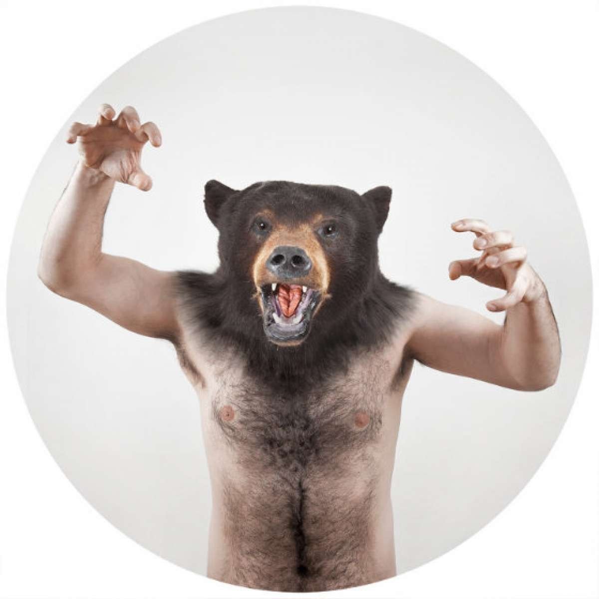 Белый медведь в Норильске