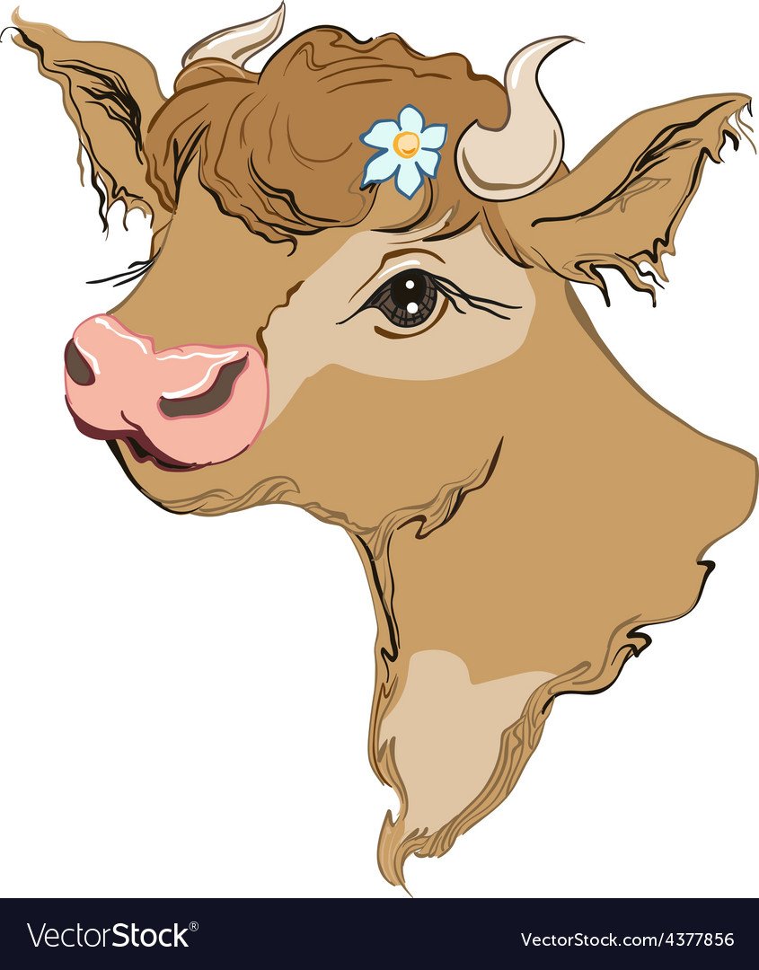 Язык коровы