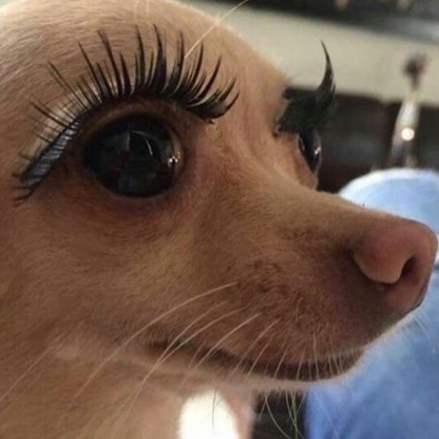 Большие ресницы