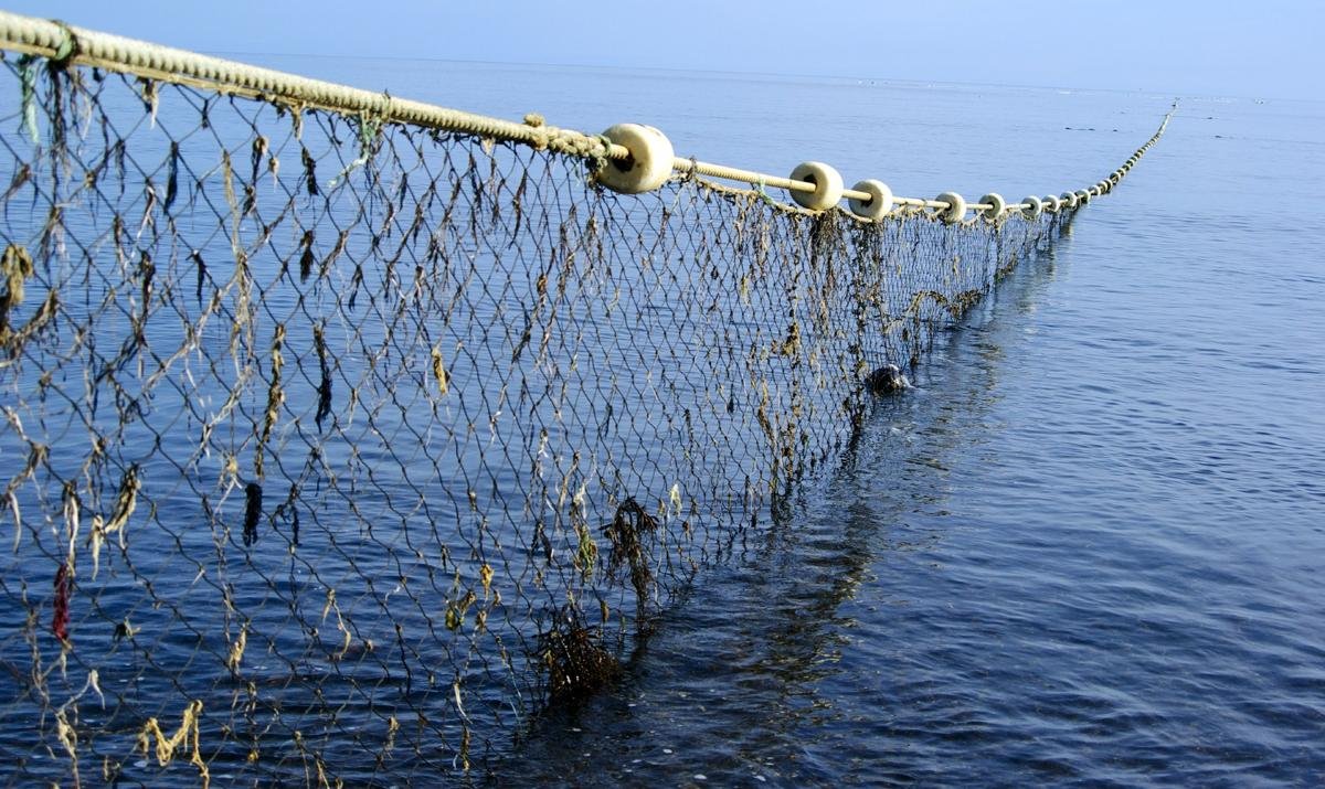 Рыбацкая сеть на обручах 6 букв