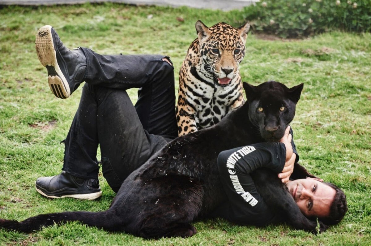 Зоопарк Зубба