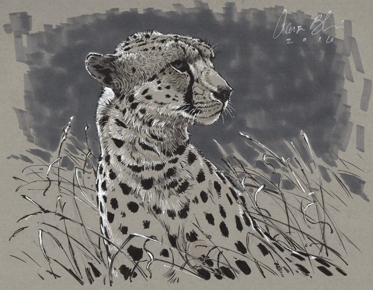 Леопард черно белый