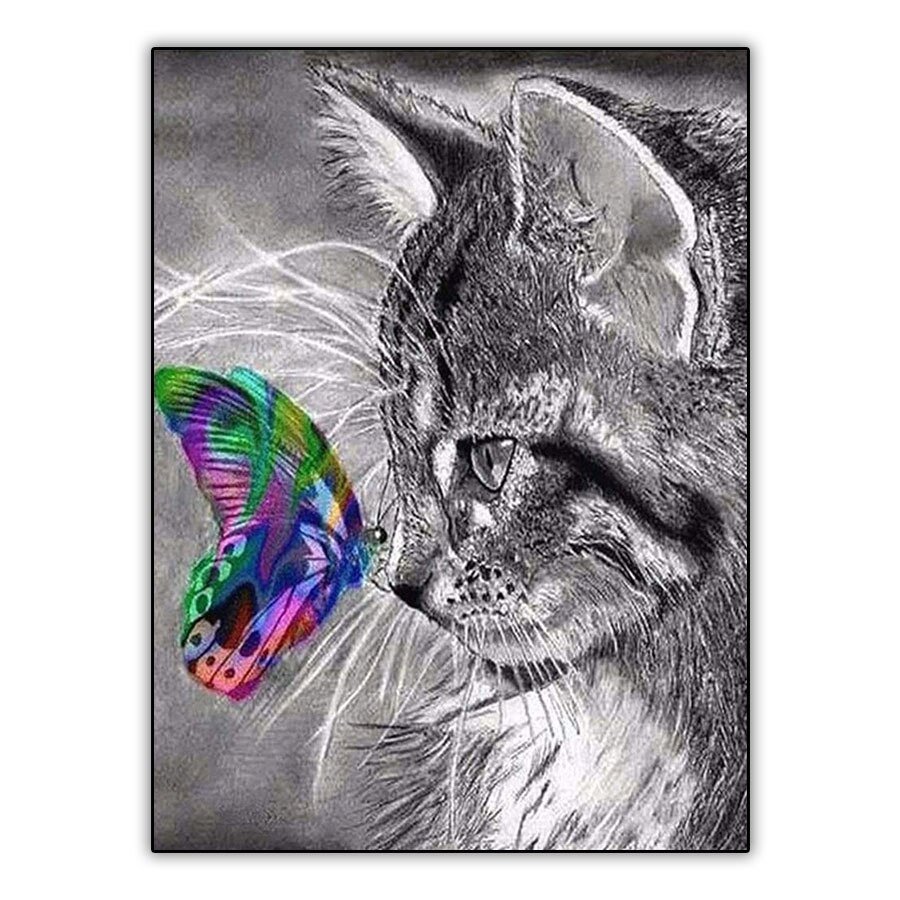 Кошка с бабочкой на носу