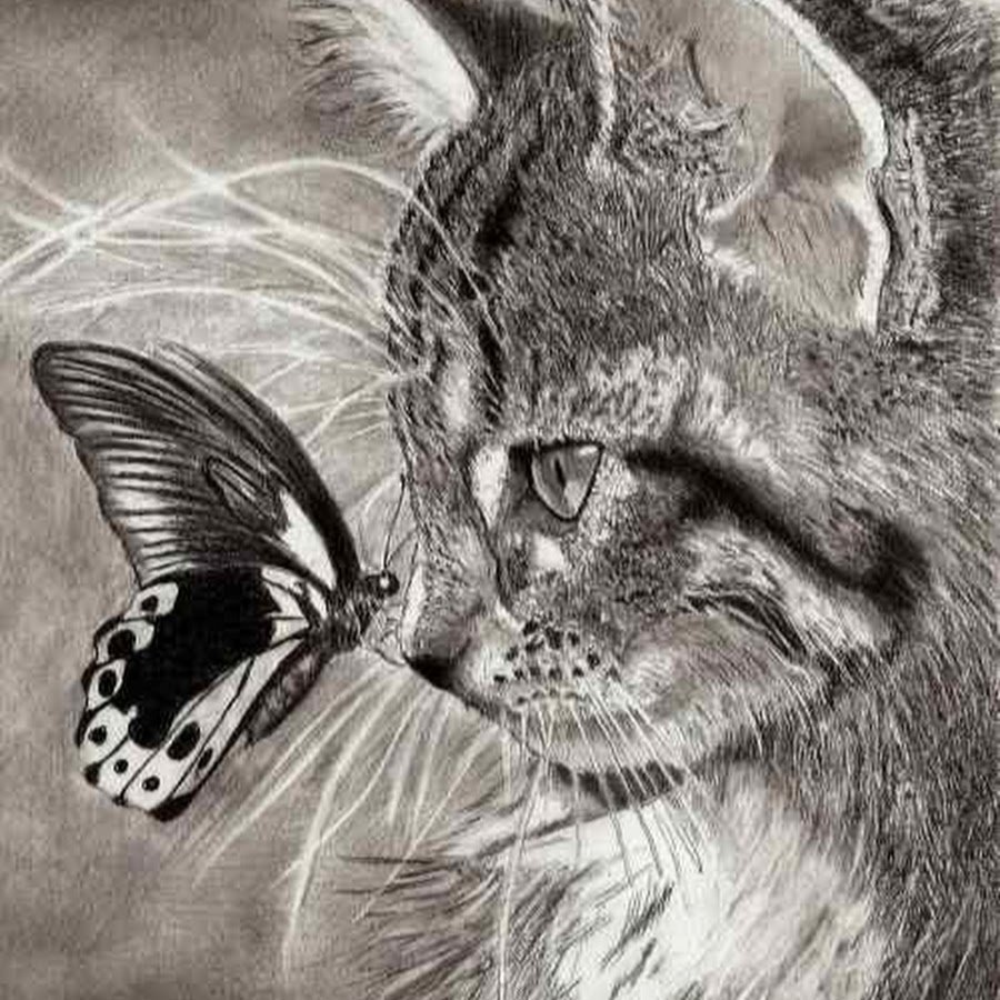 Котенок с бабочкой