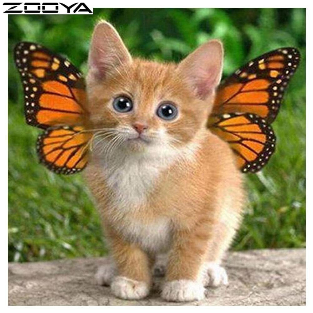 Кот с бабочкой на носу