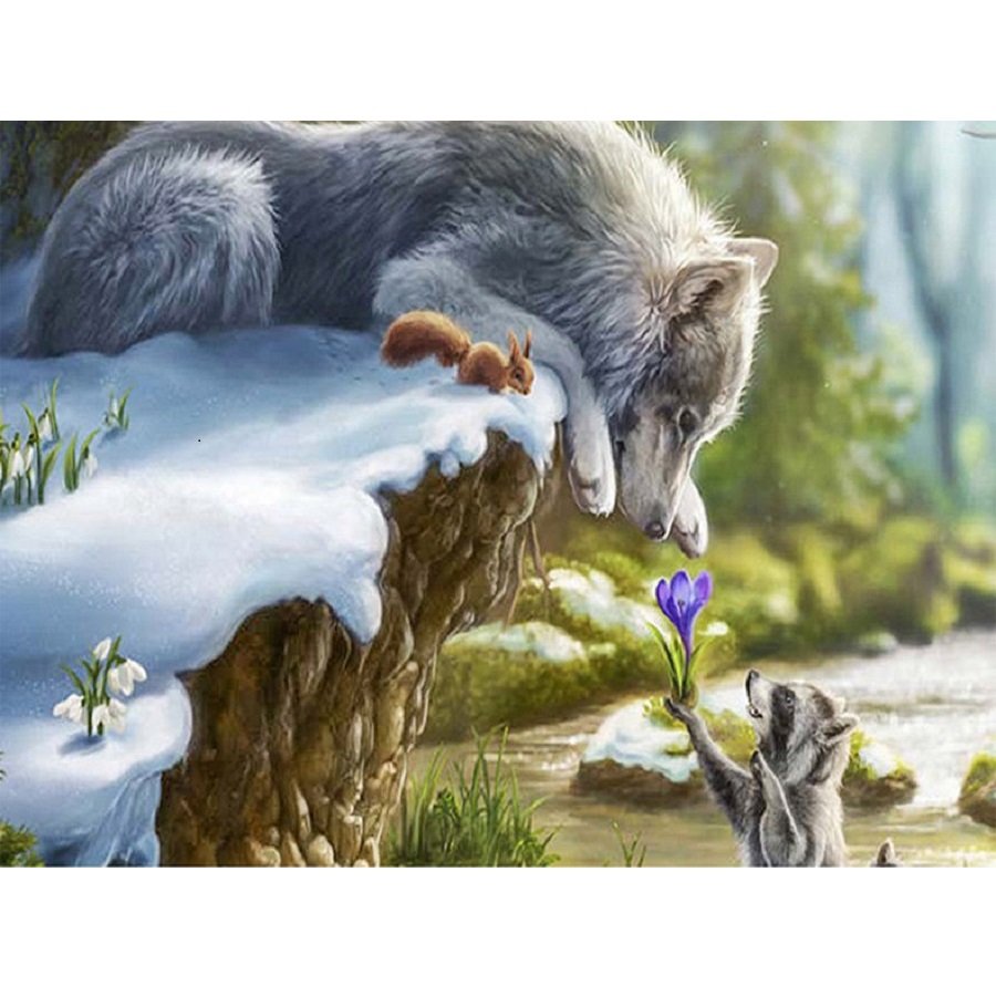 Волк и енот