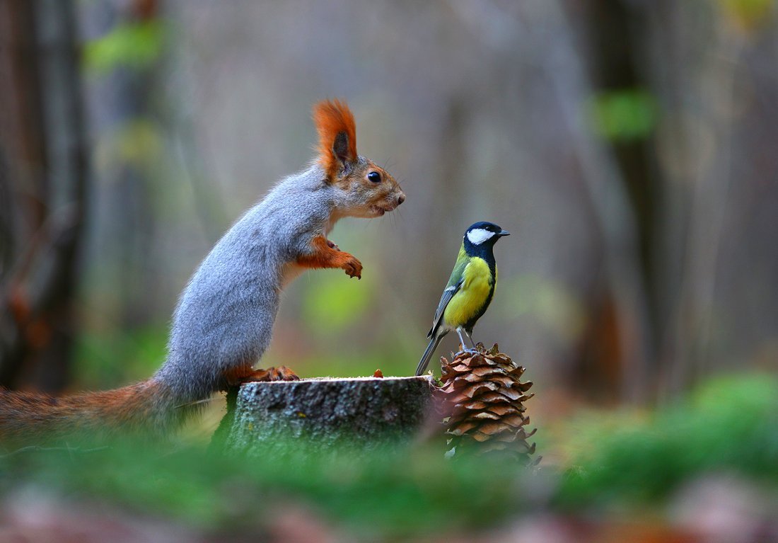 Вадим Трунов белки