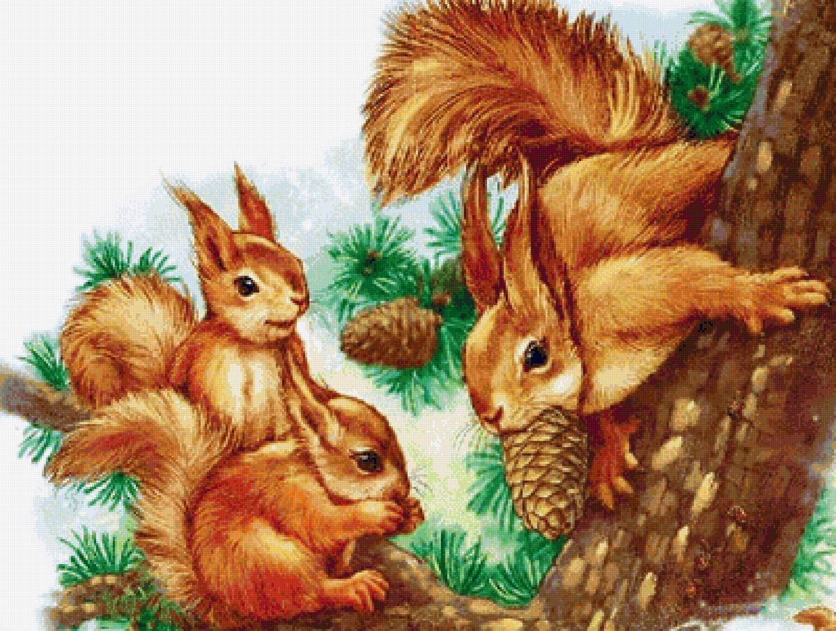 Николай Сладков заяц серый