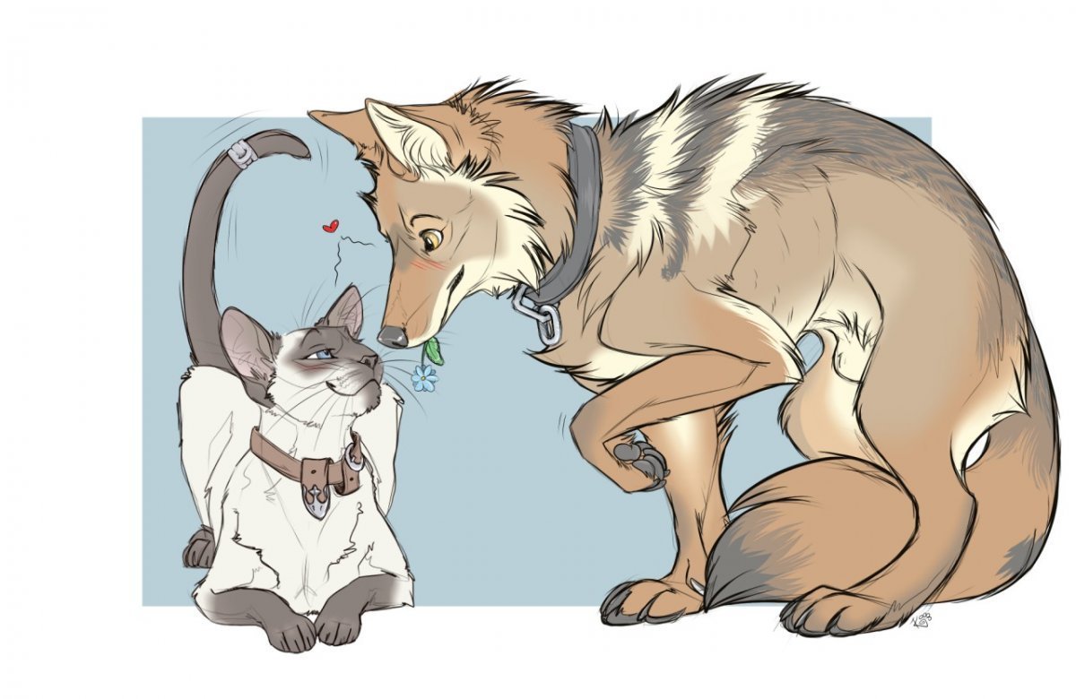 Вадим Трунов белки и птицы