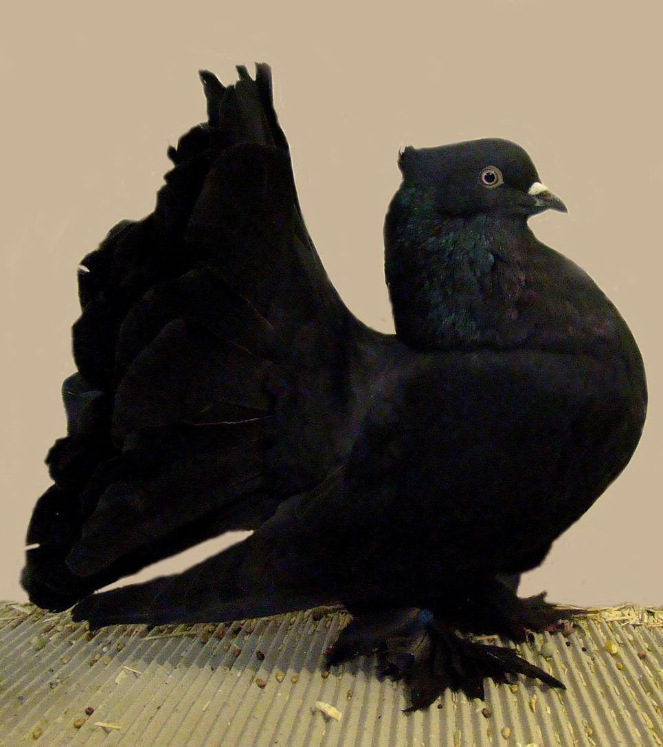 Весна любовь счастье