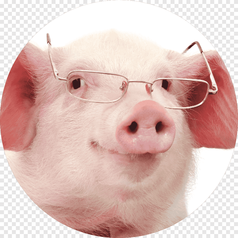 Деловой поросенок