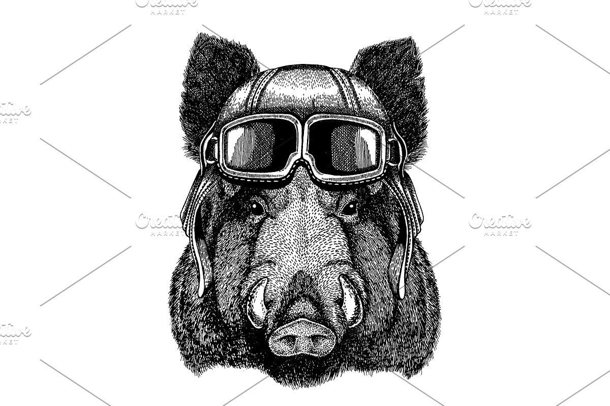 Кабан в очках