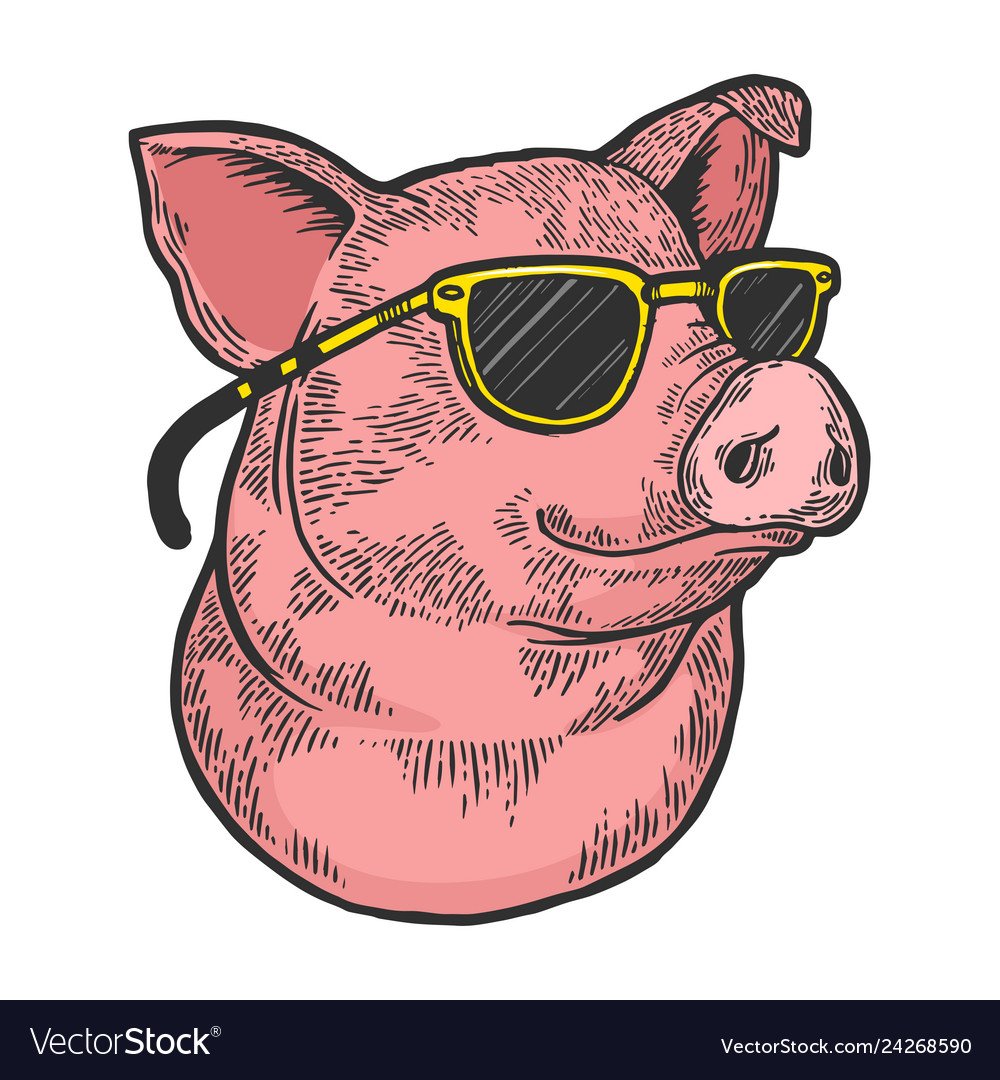 Свинья в солнечных очках