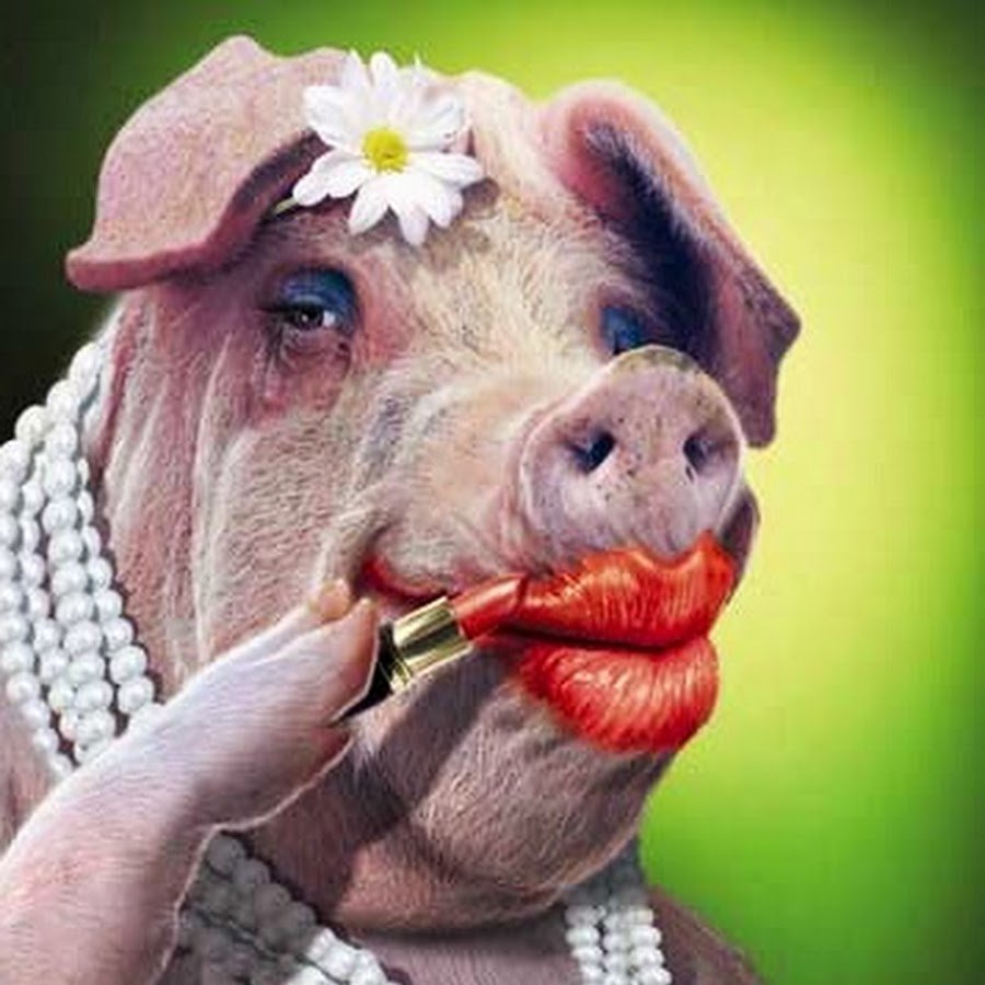 Люди которые едят свинину