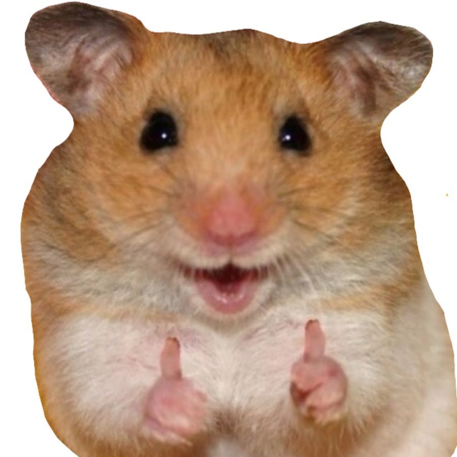 Толстый хомяк